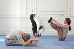 Yoga-Hatha